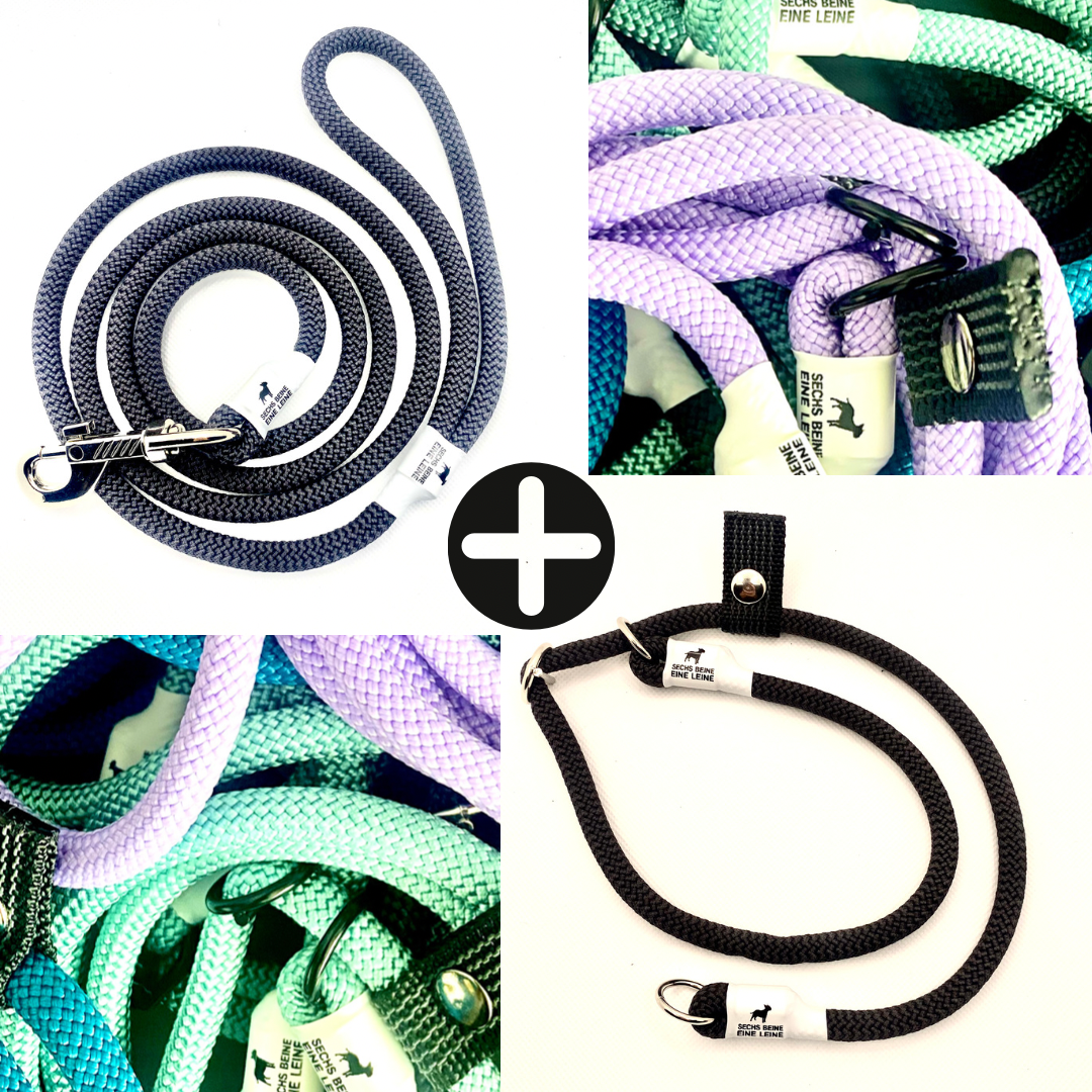 Set Leine plus Halsband – Sechs Beine eine Leine